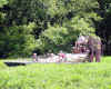album253.jpg (59138 bytes)
